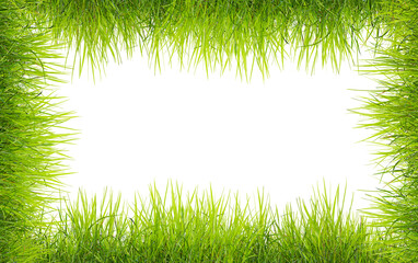 Green grass frame, on a transparent background. Green field frame, background.
