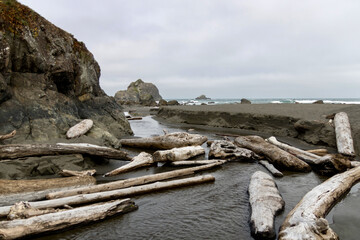 Fototapeta na wymiar Logs washed up on shore at beach in Redwood State and National Parks