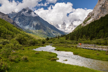 Naklejka premium Landscape of summer at Chongu pasture and two tourists walking on the wooden walkway in Yading national level reserve, Daocheng, Sichuan Province, China.