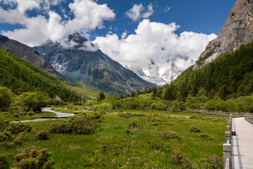 Fototapeta na wymiar pathway of trail route to milk lake and Five colors lake background in nice sky day in summer season at Yading National Park, Daocheng, Sichuan, China