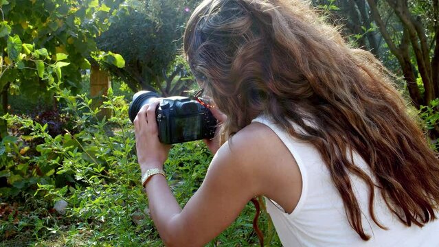 The Photographer In The nature stock video is a gorgeous video clip that shows an young woman taking pictures in the garden.