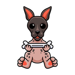 Cute american hairless terrier cartoon holding a bone