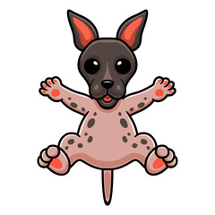 Cute american hairless terrier cartoon