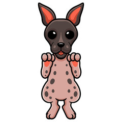 Cute american hairless terrier cartoon