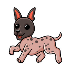 Cute american hairless terrier cartoon