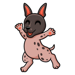 Cute american hairless terrier cartoon