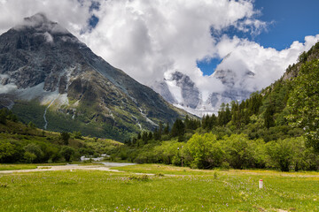 Fototapeta na wymiar The green meadows and snow mountains in Yading and Daocheng, the last Shangri-La, in Sichuan, China, shot in summer time. Horizontal image with copy space for text