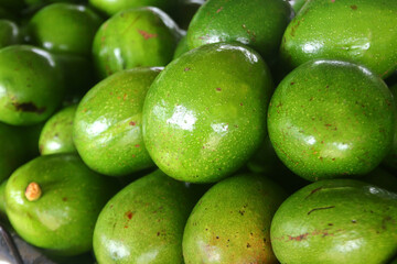 avocado palta guacamole fruit