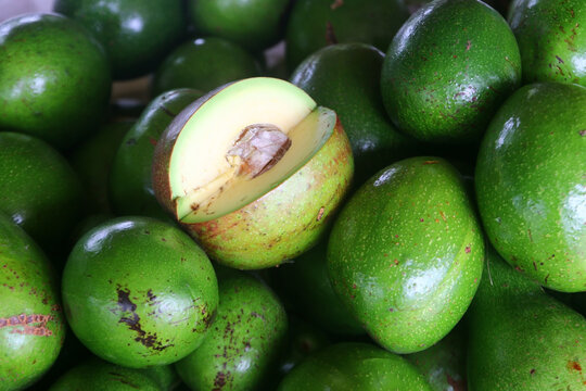 avocado palta guacamole fruit