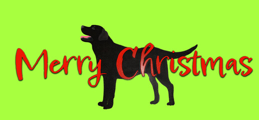 Labrador retriever with Merry Christmas isolated red and green