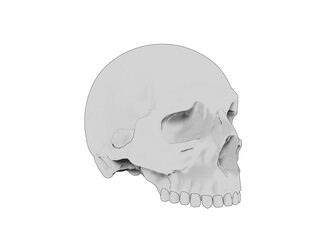 Obraz premium Toon skull