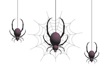 Spider web. Hand drawn cobweb. Spooky Halloween vector illustration