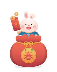 Cute rabbit character or mascot with firecrackers for Chinese New Year, Year of the Rabbit, vector cartoon style, Chinese translation: Blessing