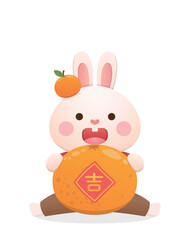 Cute rabbit character or mascot with tangerine, Chinese lunar new year elements, year of the rabbit, vector cartoon style, Chinese translation: auspicious