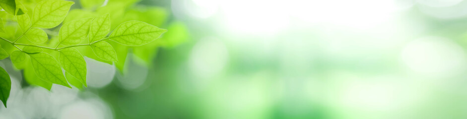 Close up fresh nature view of green leaf on blurred greenery background in garden. Natural green leaves plants used as spring background cover page greenery environment ecology lime green wallpaper