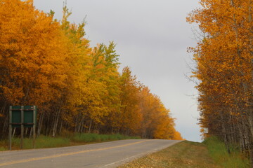 Obraz premium Autumn Along The Parkway, Elk Island National Park, Alberta