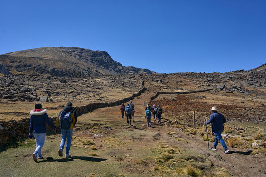 Grupo de turistas escalando y subiendo a pie una montaña con vegetación en los andes peruanos 