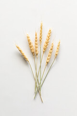 Strands of wheat arranged in a bouquet against a white background.