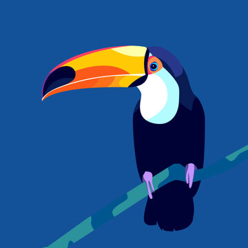 Touchan bird pop art style