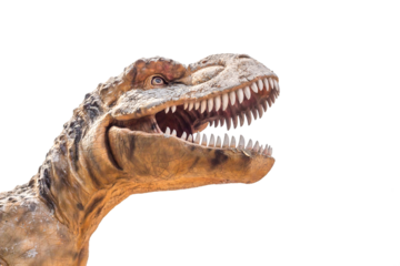 Tyrannosaurus rex dinosaur isolated