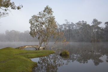 morning on the river