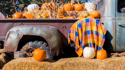 Pumpkin patch display in a vintage pick up truck. Thanksgiving and autumn harvest background