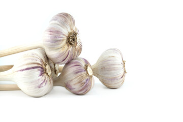 Garlic bulbs in close-up on white background