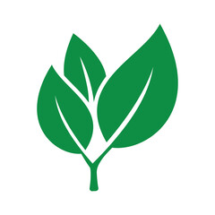 leaf icon vector design template in white background