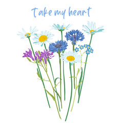 Take my heart slogan and bouquet of field flowers, vector drawing wild plants at white background, flowering meadow print, hand drawn botanical illustration