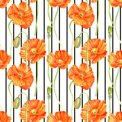 Fototapeta premium seamless pattern with drawing flowers of orange poppy, eschscholzia at white background , hand drawn botanical illustration