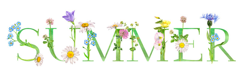 watercolor drawing lettering summer with flowers, hand drawn illustration