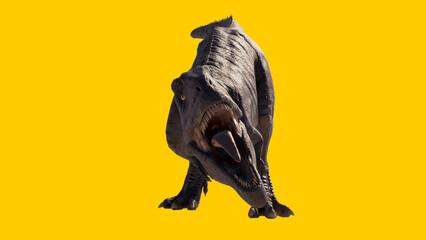 Carnivorous and roaring Giganotosaurus dinosaur isolated on yellow blank background