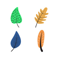 Set with abstract tropical forest leaves. Trendy foliage collection. for vector Illustration elements