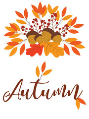 autumn background with leaves