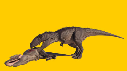 Obraz na płótnie Canvas Carnivorous and roaring Giganotosaurus dinosaur isolated on yellow blank background