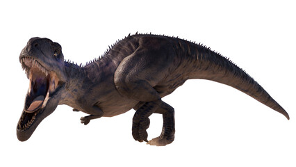 Giganotosaurus dinosaur running and roaring on a blank background PNG