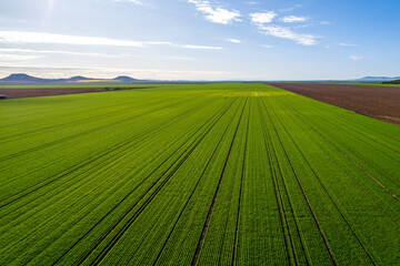 Liverpool Plains farmland © Wolf