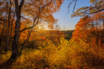 Golden color autumn landscape with sunset, Duksta park