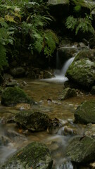 waterfall in the forest