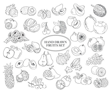 Hand-drawn fruits set on white background. Food ingredients vector illustration.