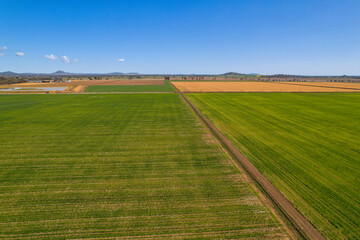 Liverpool Plains farmland