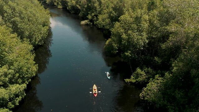 Aerial View Of Kayaks In Mangrove Forest At El Paredon, Guatemala - drone shot