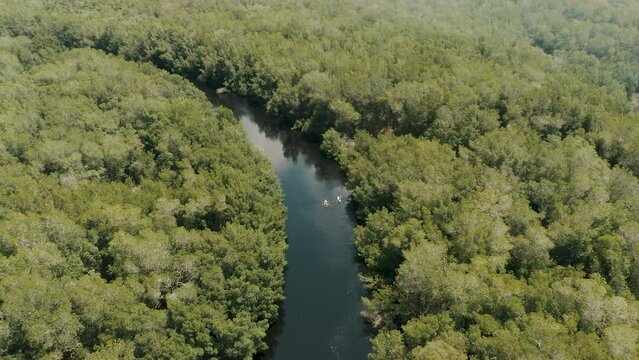 Aerial View Of Kayak Boats In A River With Mangrove Forest In El Pared&oacute;n, Escuintla, Guatemala. 