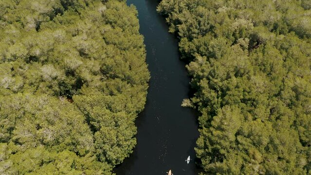 River With Mangrove Trees Near El Pared&oacute;n Beach In Escuintla, Guatemala. Aerial Drone Shot