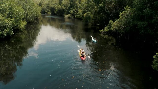 Tourists Kayaking In Mangrove Forest In El Paredon, Guatemala - drone shot