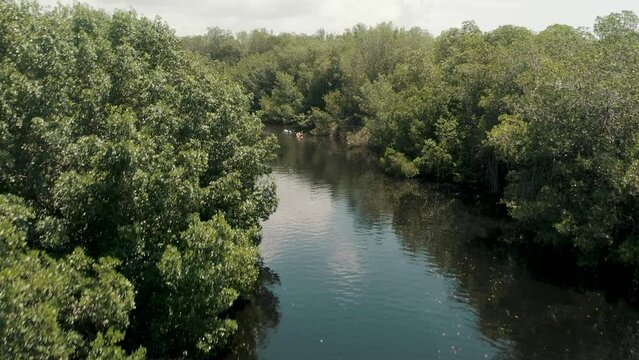 Mirror Reflection Through Mangrove Inlet With Tourists Kayaking Near El Pared&oacute;n, Escuintla, Guatemala. Aerial Drone 