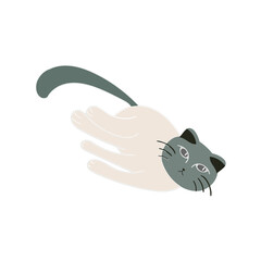 Cute cats elements. Cartoon cat design with earth tone color in different poses.