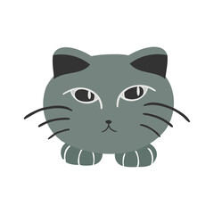 Cute cats elements. Cartoon cat design with earth tone color in different poses.