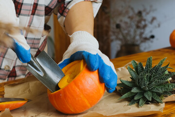 Making DIY pumpkin succulent planter for Thanksgiving home decor