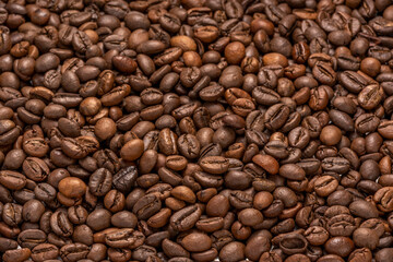 Close up,Roasted Cocoa beans or Aromatic Cocoa beans for coffee drink.